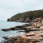 Large pink granite slabs on ocean coastline with pine trees in the distance