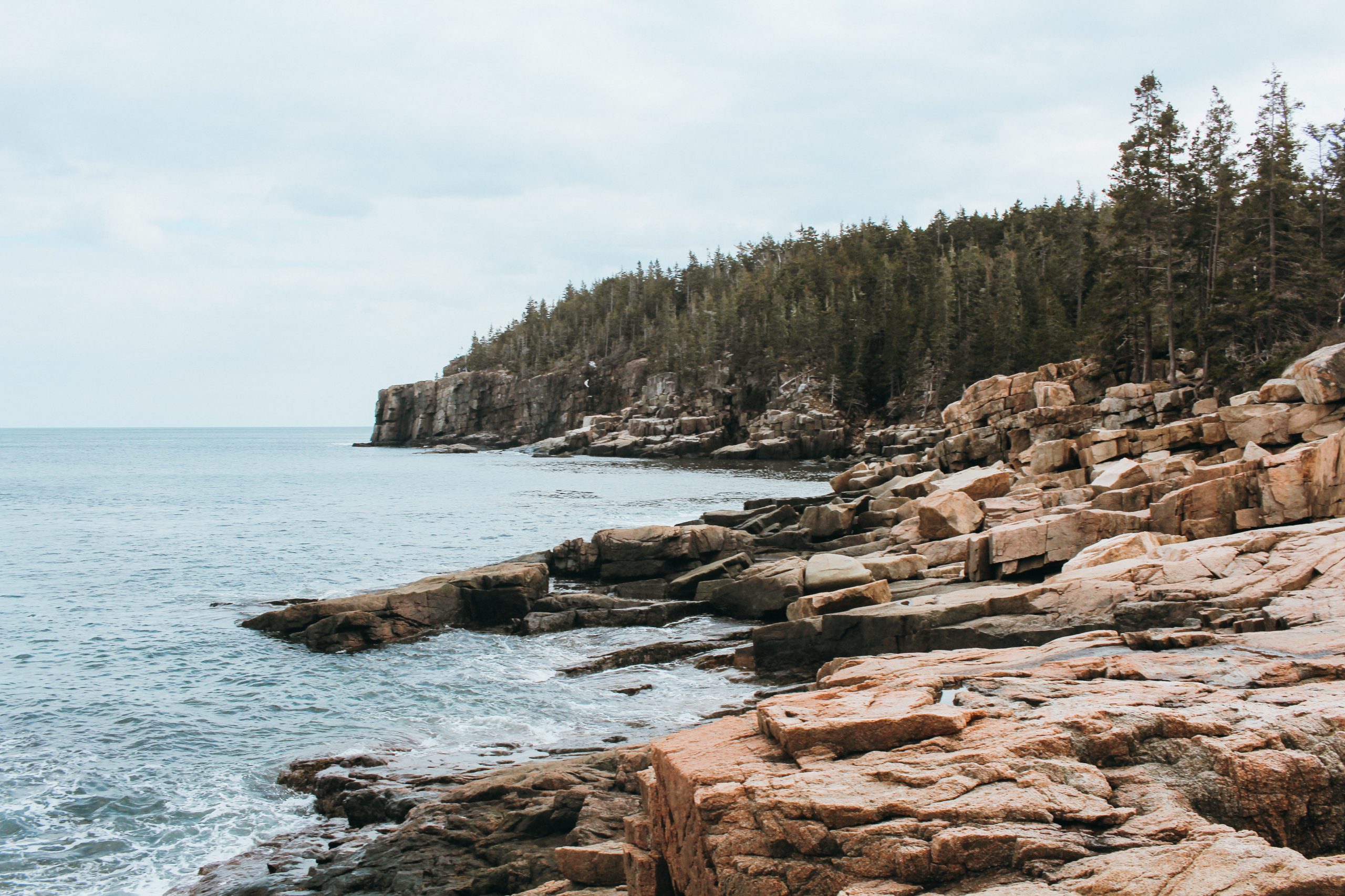 Large pink granite slabs on ocean coastline with pine trees in the distance
