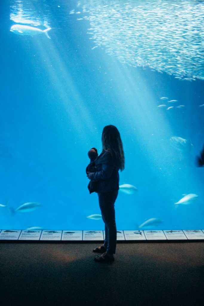 woman with baby looking at fish in large tank