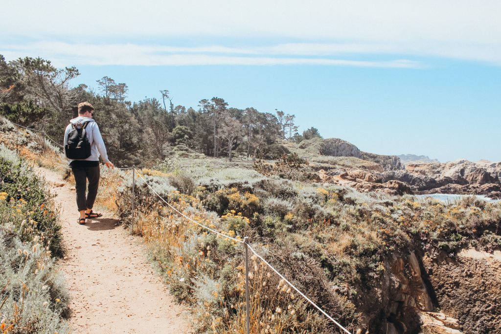 Man walking along trail in the California headlands at Point Lobos California State Reserve