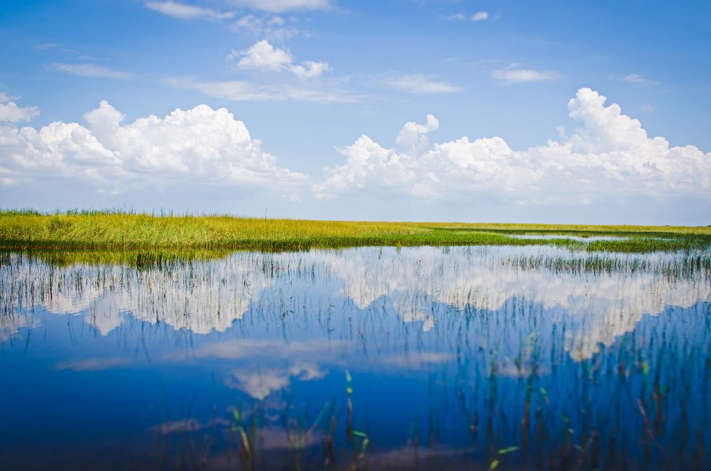 Clouds and yellow grass reflecting in water at Everglades National Park in Florida