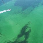 Perfect Florida Roadtrip with Kids: 10 Amazing Florida Roadtrip Stops