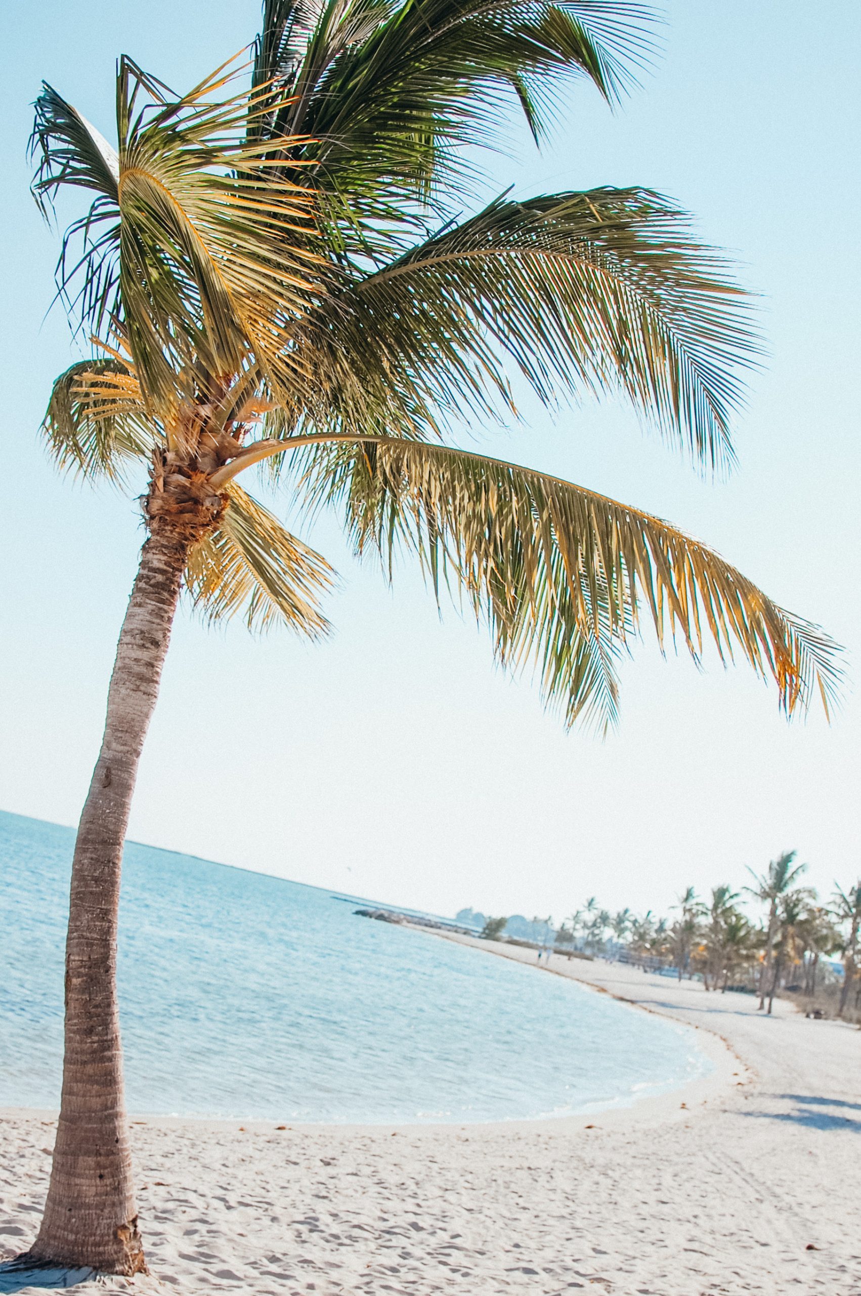 Key West Beaches Visitor Information Guide