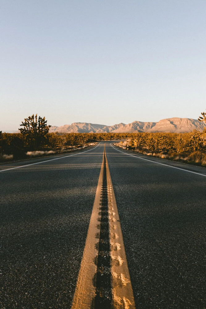 Road leading through desert of Joshua Tree National Park
