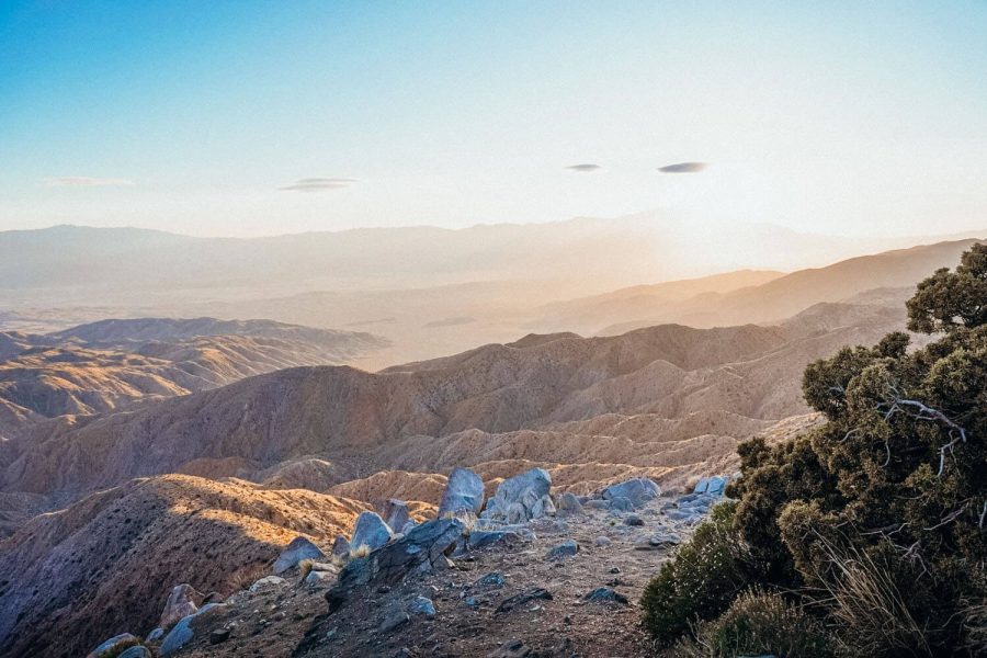 The Ultimate Guide to Joshua Tree National Park and Nearby Towns ...