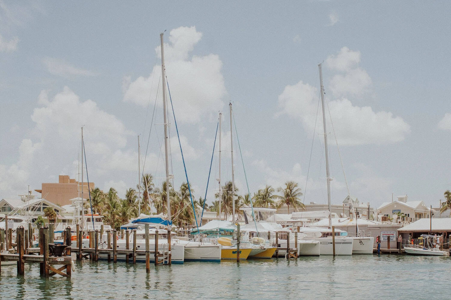 Row of white, yellow and blue sailboats docked at a marina in Key West Florida
