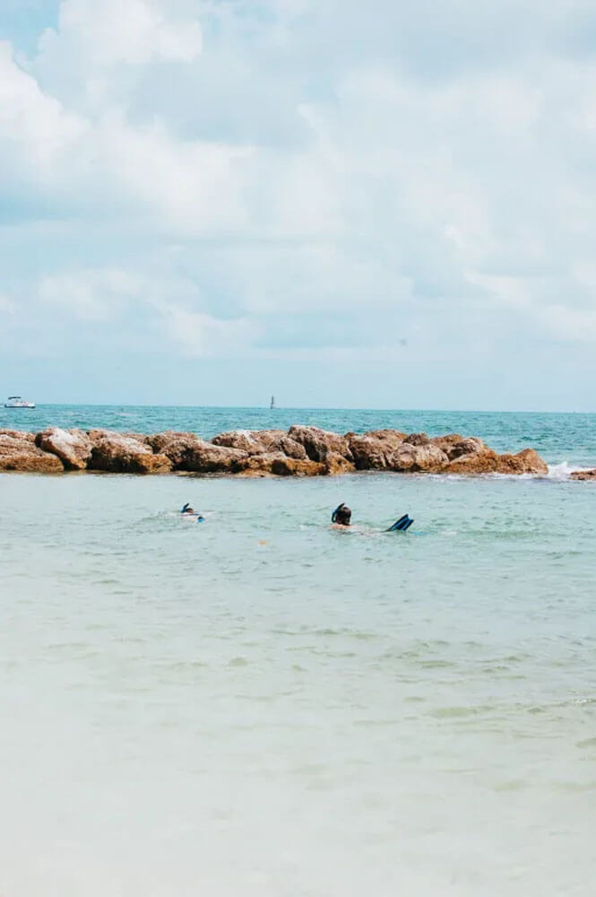 Two snorkelers swim in blue water with a strip of rocks in the distance