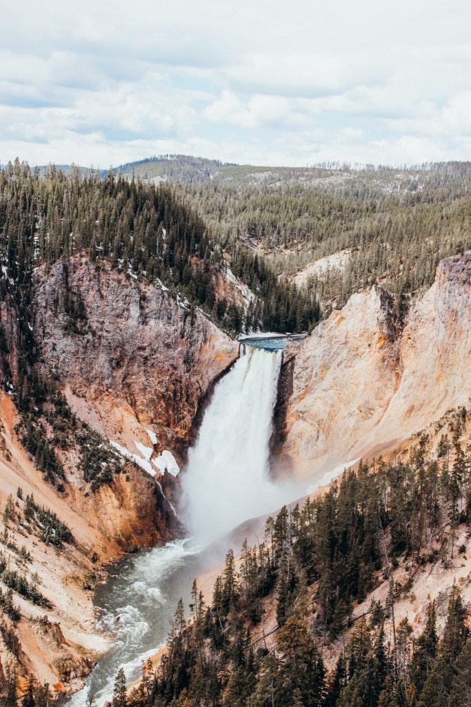 Large waterfall falls into cream canyon covered in pine trees