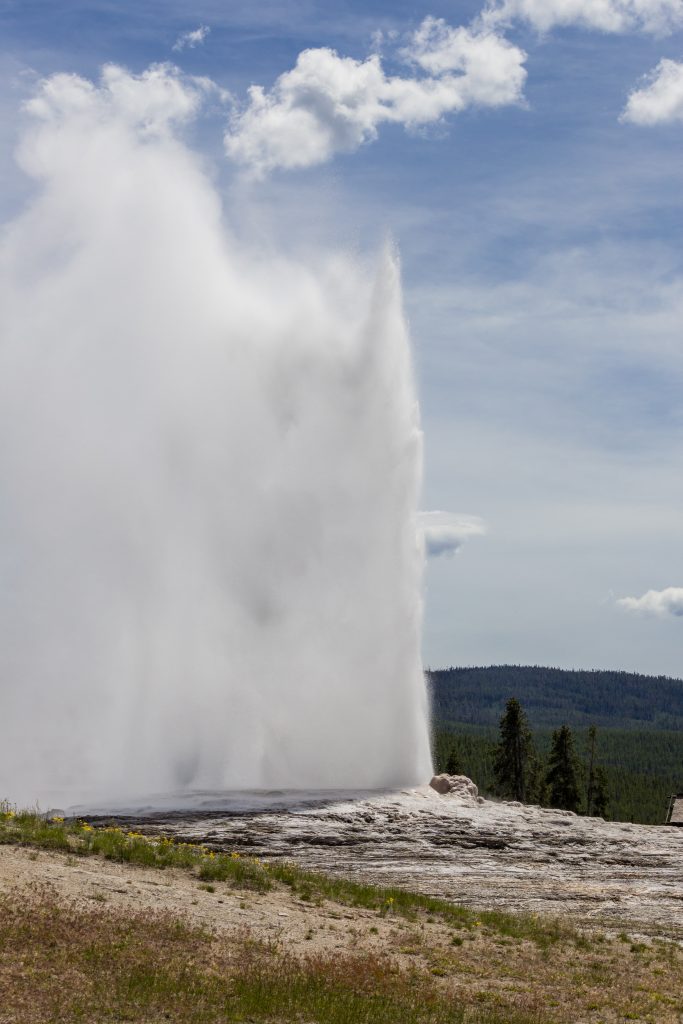 Large stream of water and steam shoots out of the ground