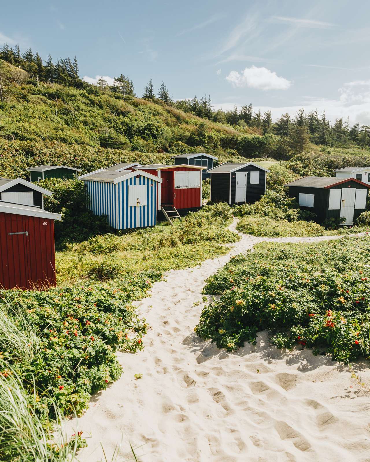 Colorful huts in green bushes near the beach