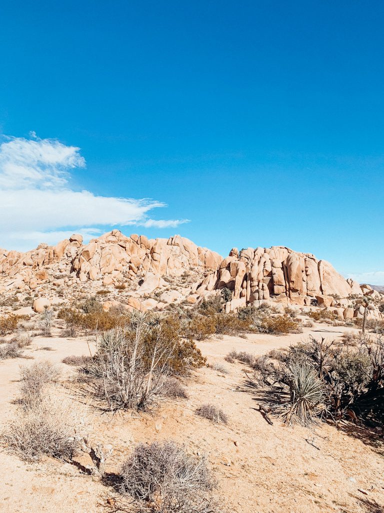 Large boulder pile with desert plants in front and blue skies in Joshua Tree National Park
