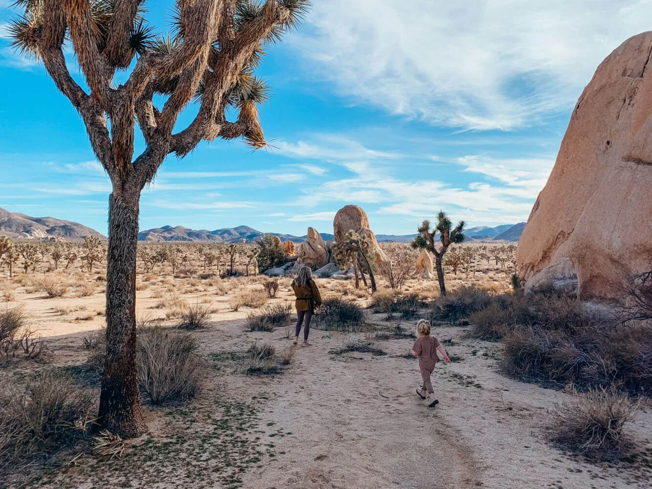 Woman and toddler walk down trail lined with boulders and Joshua Trees