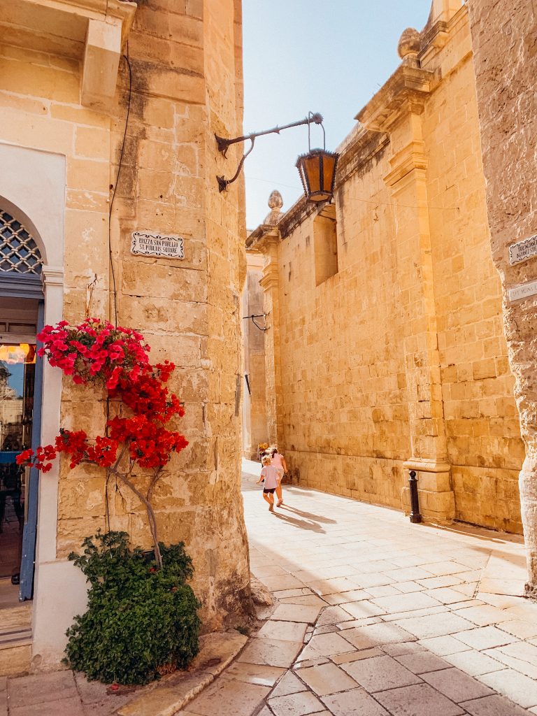 Orange stone buildings with red flowers growing up the side