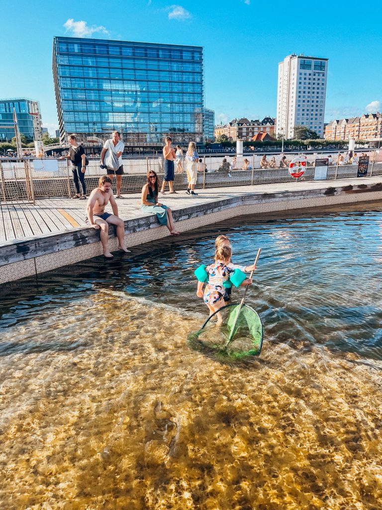 Children play in shallow, mossy outdoor pool