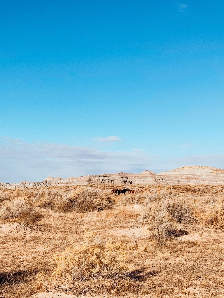 Desert landscape with three horses in the distance and small rock hills past the horses