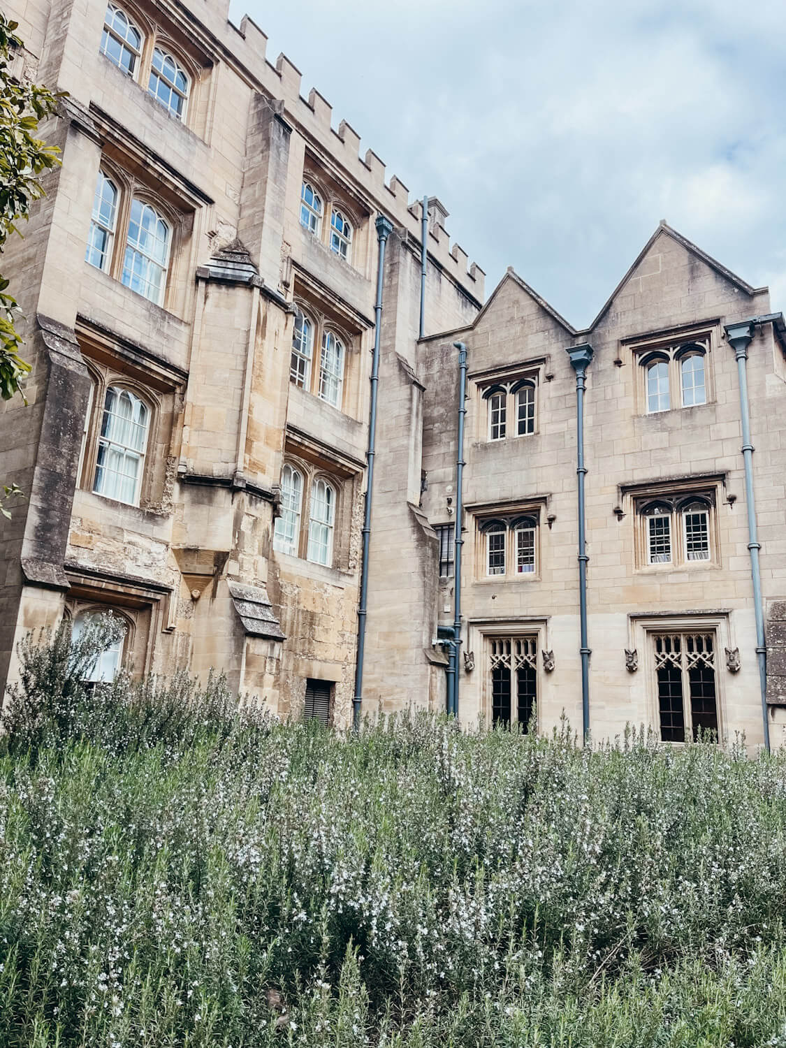 Green plants in front of old stone buildings at Christ Church College