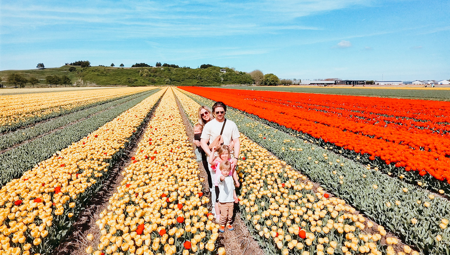 Family with young kids stand in a large field of yellow, green and red flowers.