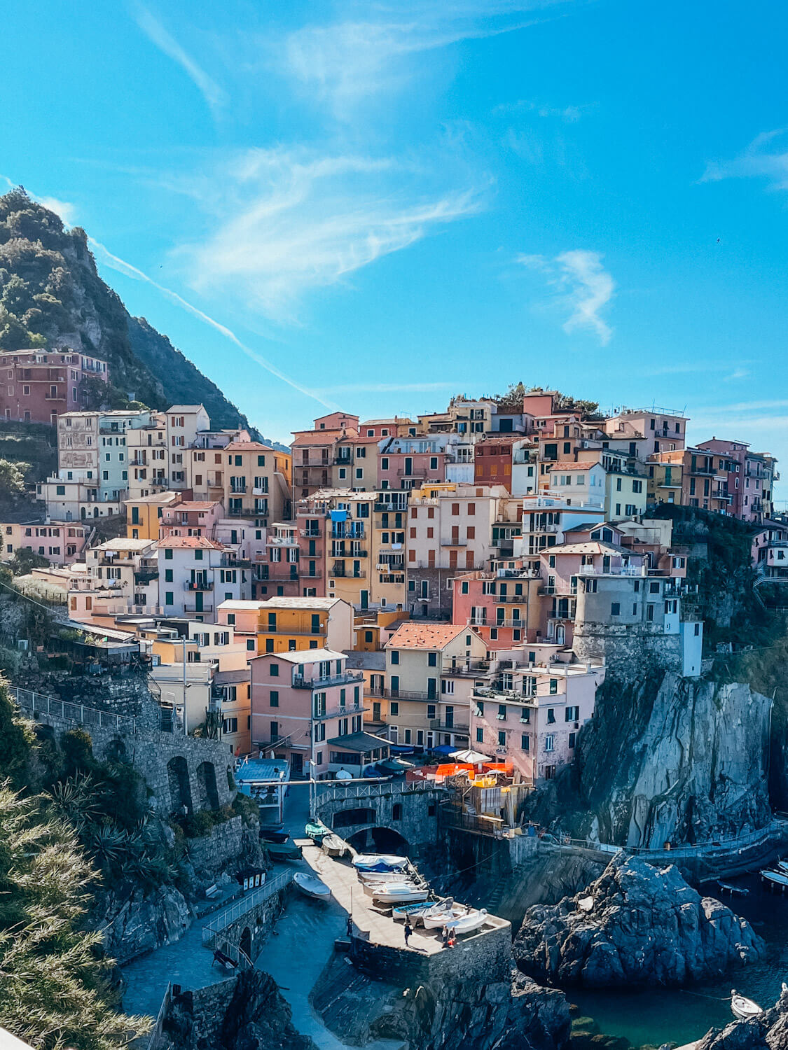 Colorful buildings built on cliff with a harbor at the base in Manarola Cinque Terre