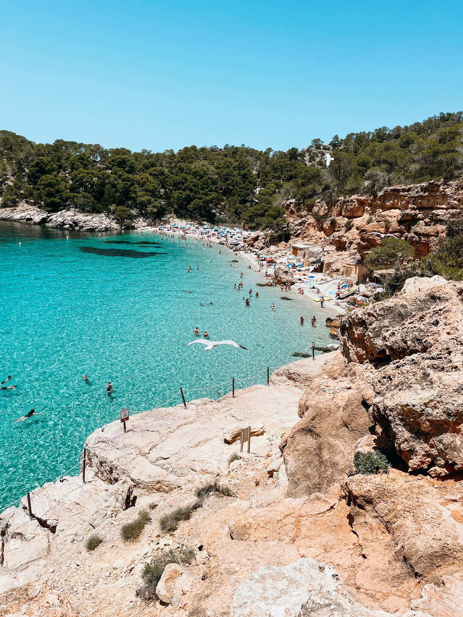 Ariel view of blue water lined with sandy beach and boat houses in Ibiza Spain