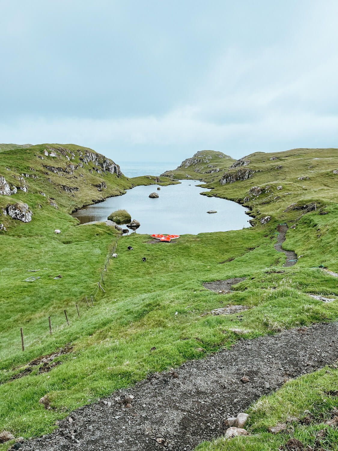 Pond surrounded by green grass and dirt trails