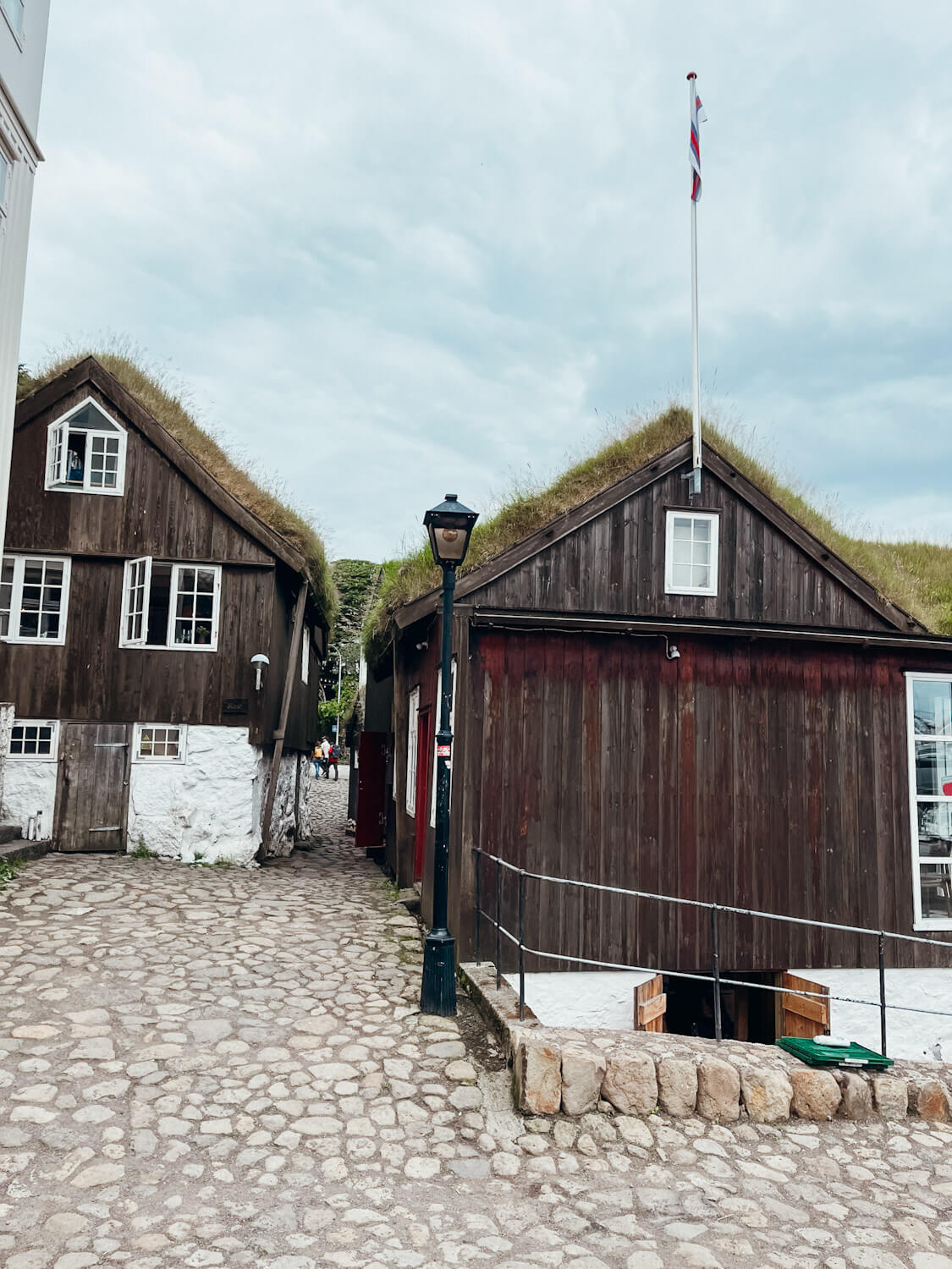 Brown wooden buildings with grass covered roofs