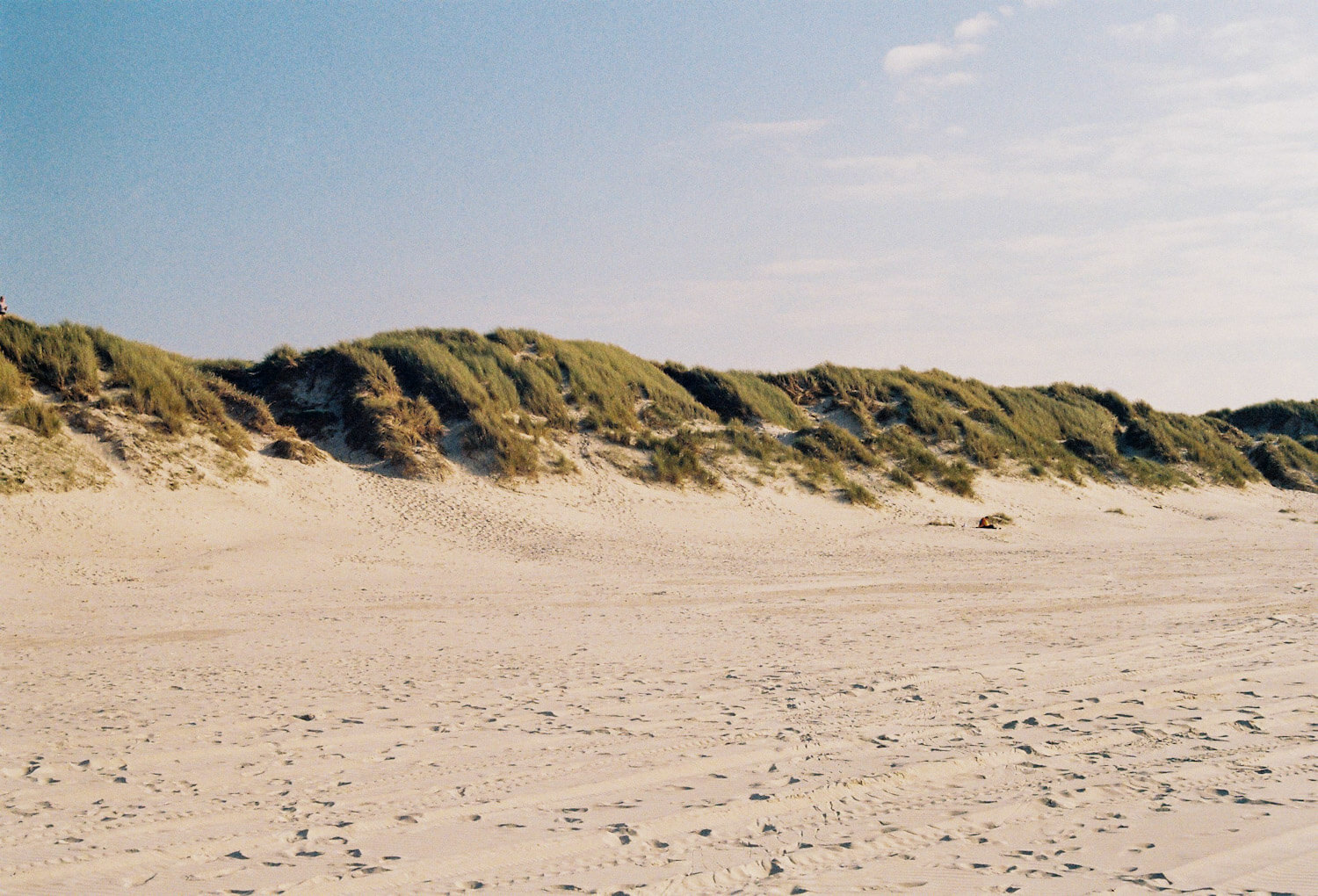Large grassy sand dune on long stretch of sandy beach at Vejers Strand