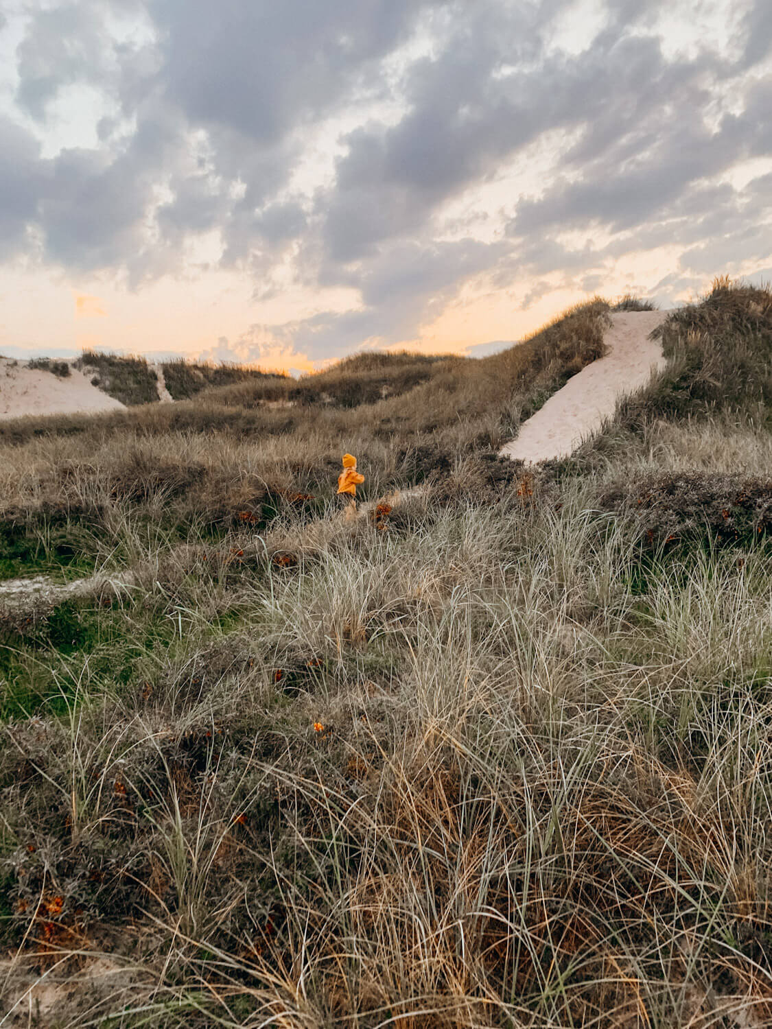 Young child runs on sandy trail through grassy sand dunes