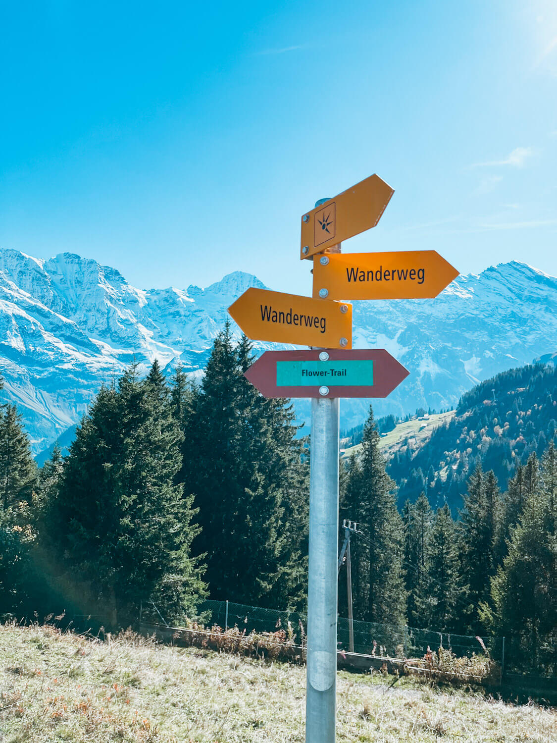 Signs indicating different trail names near Allmenhudbel playground in Switzerland