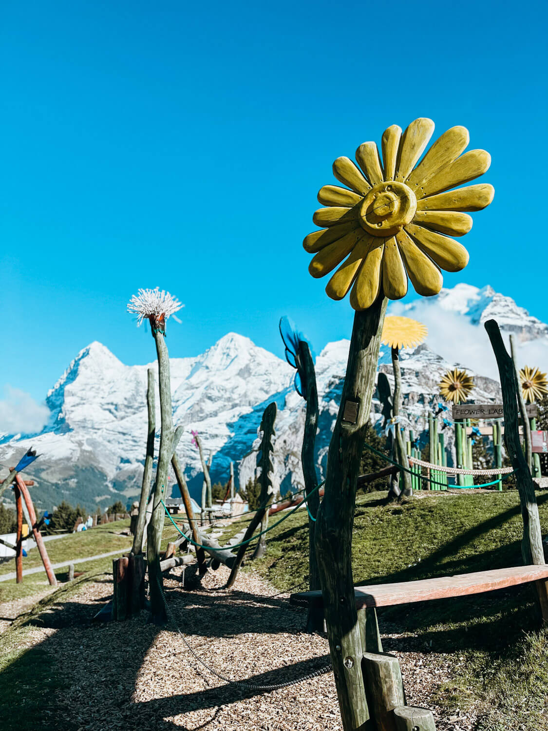 Wooden play structures at Allmendhubel Flower Park playground in Murren Switzerland with views of snow-capped mountain peaks