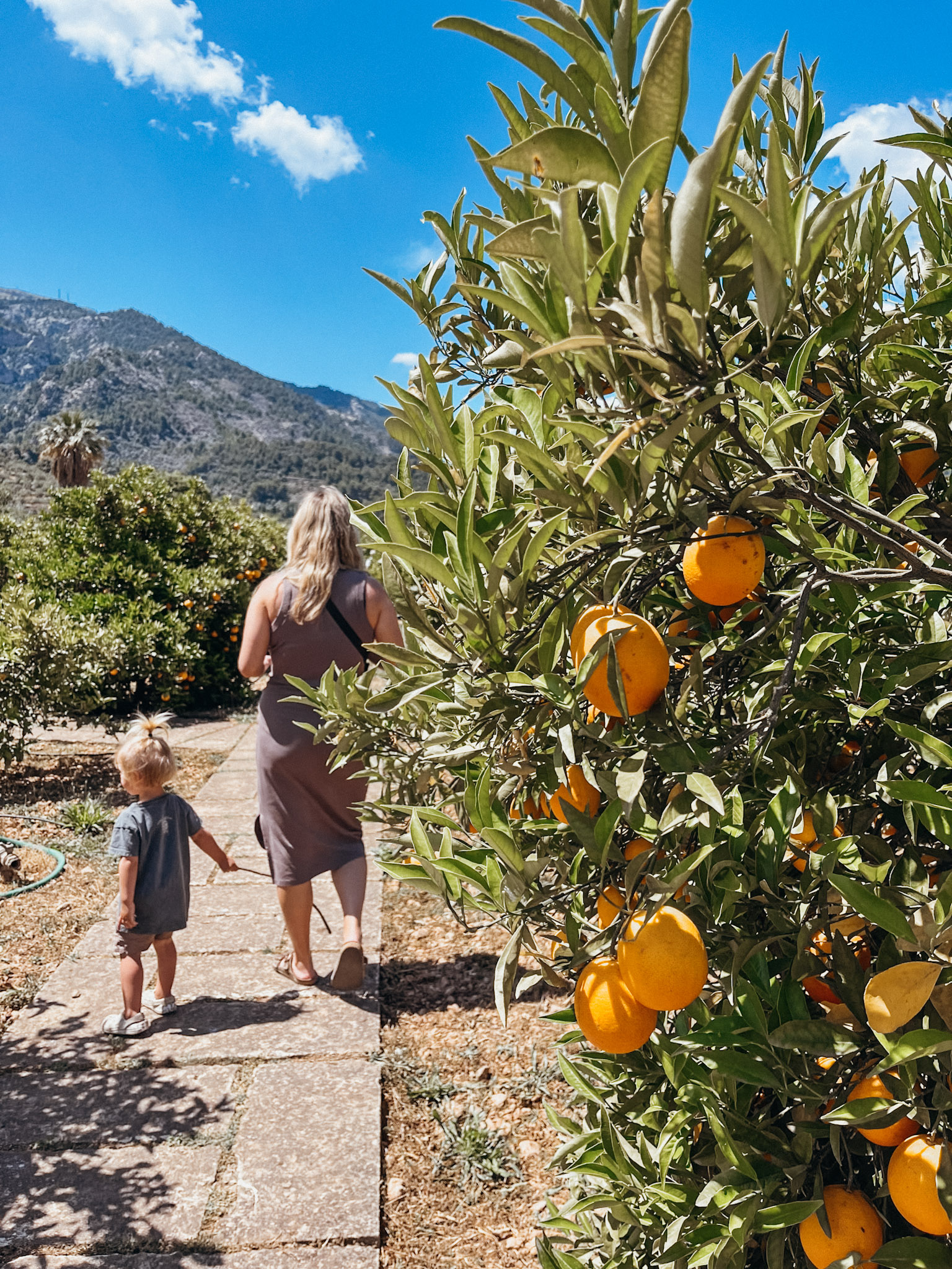 Woman and child walk past orange tree on a path at Ecovinyassa in Soller