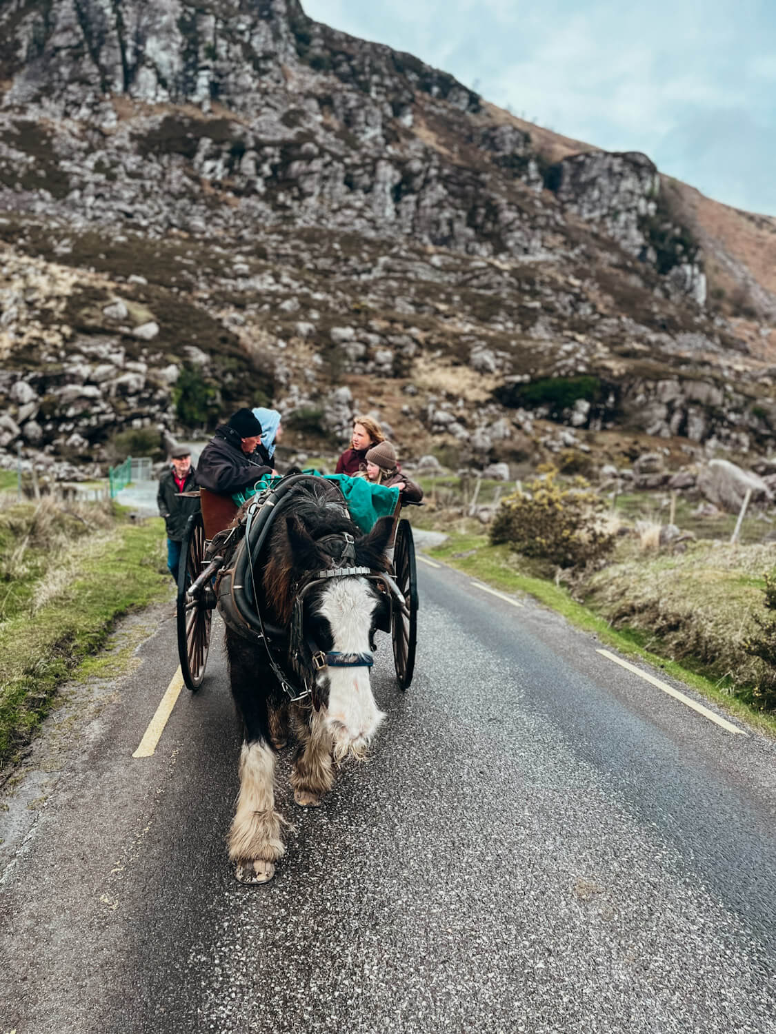 Horse drawn jaunting car in Gap of Dunloe 