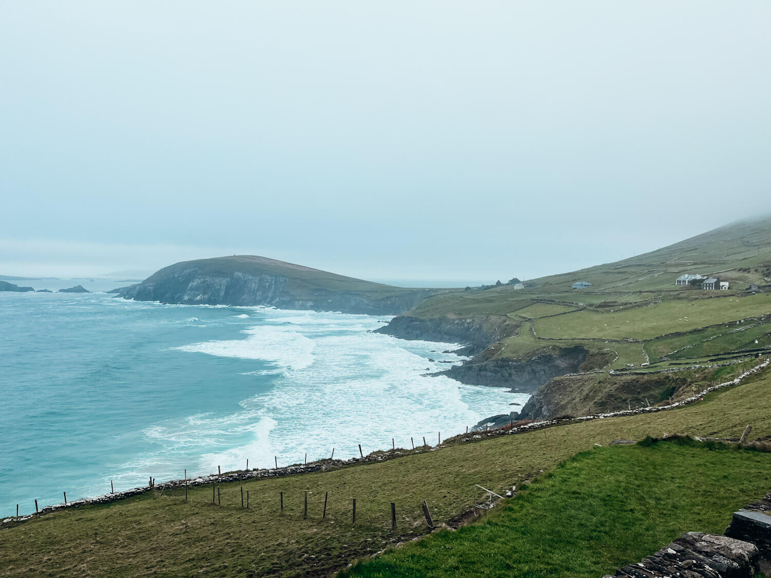 Sea meets grassy cliffs on Slea Head Drive in Dingle Ireland