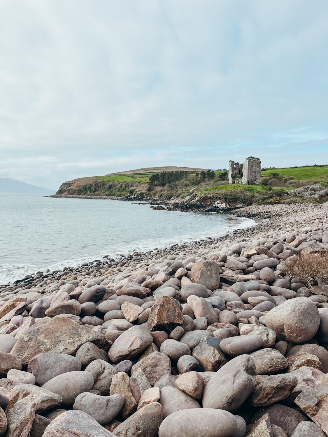 Boulder lined beach with castle ruins on a hill overlooking the beach: Minard Beach with kids