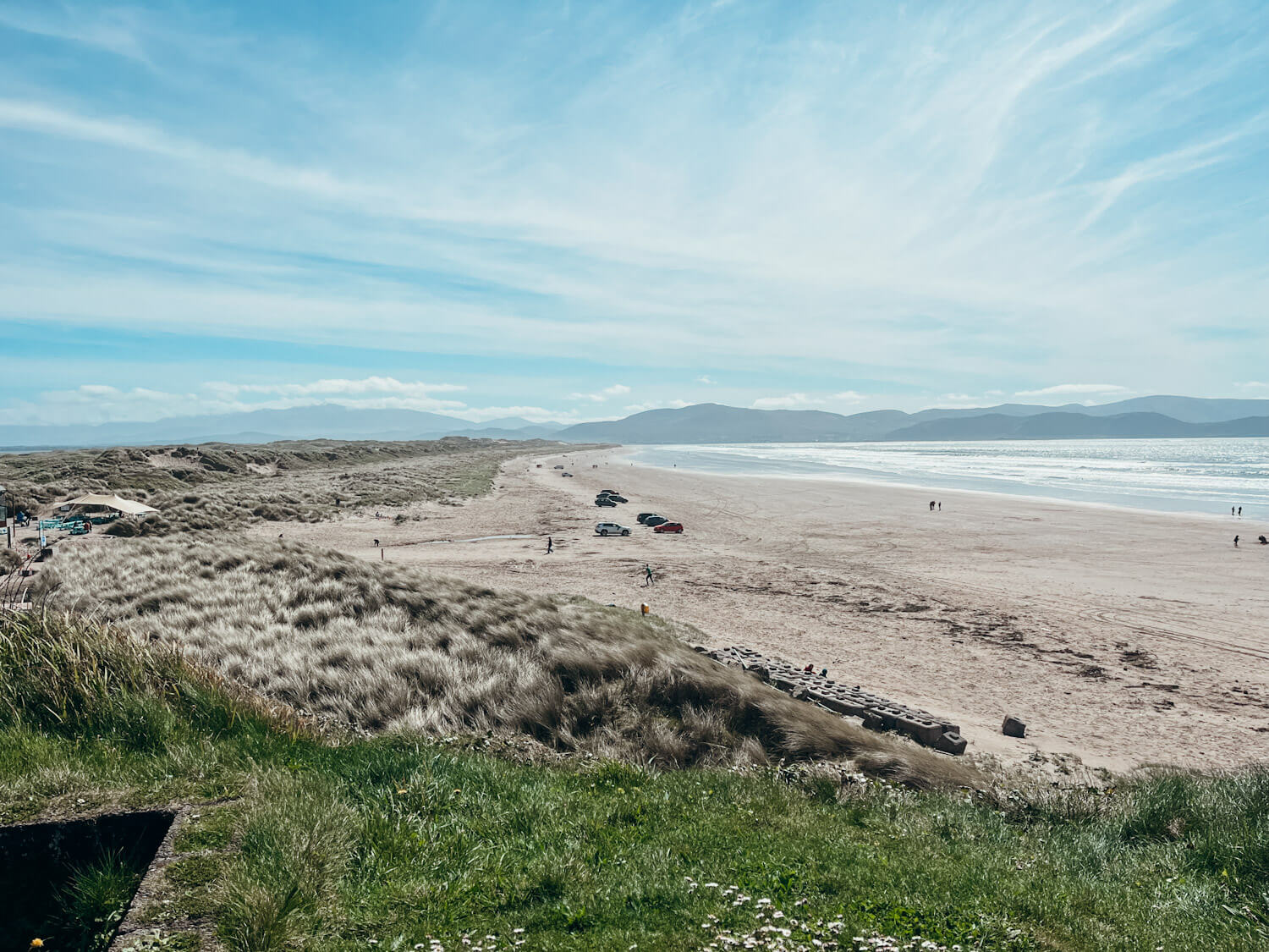 Long sandy beach lined by sand dunes in Dingle Ireland : Inch Beach