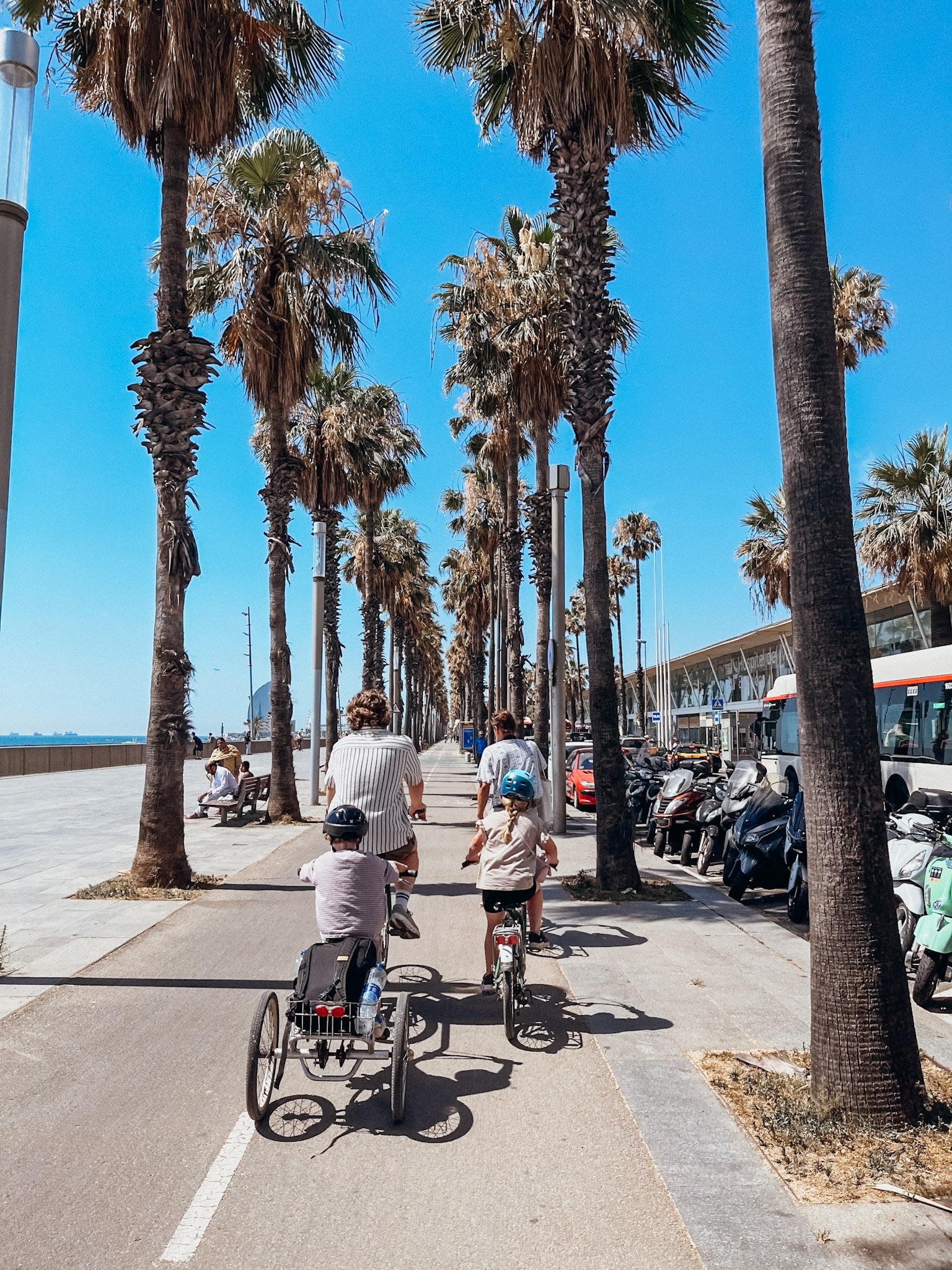 Young family bikes along boardwalk lined with palm trees near the beach in Barcelona in June